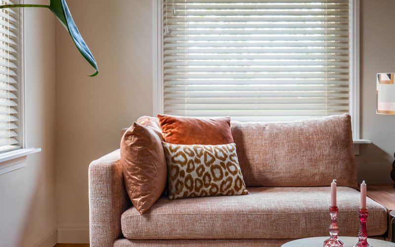 02-2026_LP-actie_800x500 02-2026_LP-actie_800x500